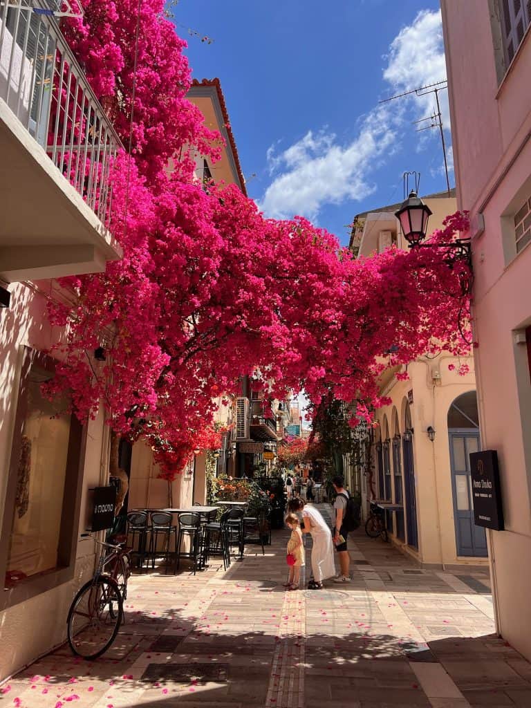 Beautiful pink tree on Greek streets
